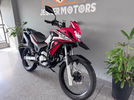 HONDA XRE 300 RALLY ABS, Foto 10