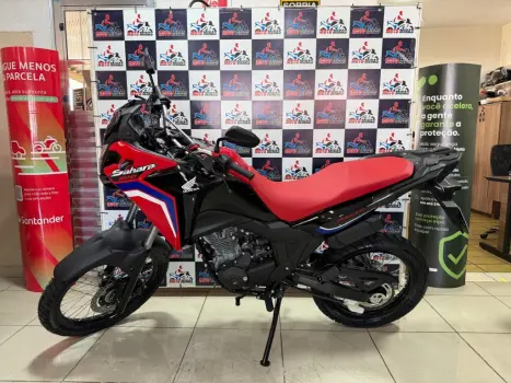 HONDA XRE 300 Sahara RALLYE, Foto 2