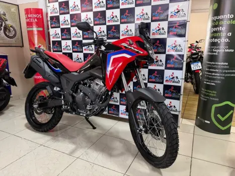 HONDA XRE 300 Sahara RALLYE, Foto 3