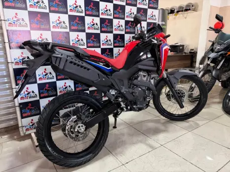 HONDA XRE 300 Sahara RALLYE, Foto 4