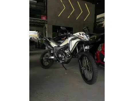 HONDA XRE 300 Sahara ADVENTURE, Foto 2