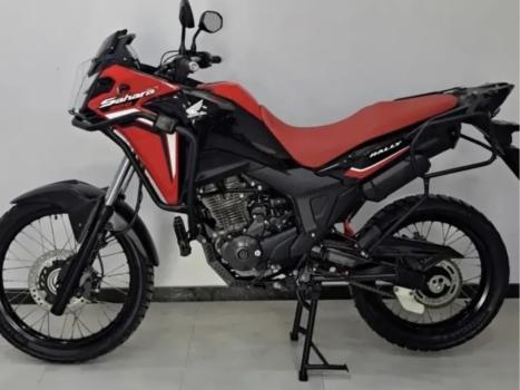 HONDA XRE 300 Sahara RALLYE, Foto 2