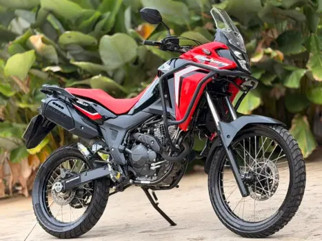 HONDA XRE 300 Sahara RALLYE, Foto 1