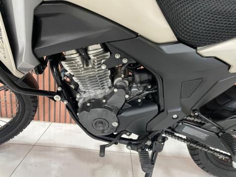 HONDA XRE 300 Sahara ADVENTURE, Foto 6