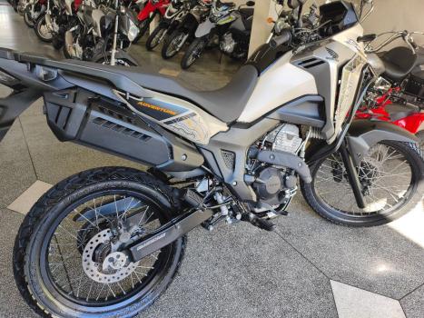 HONDA XRE 300 Sahara ADVENTURE, Foto 10