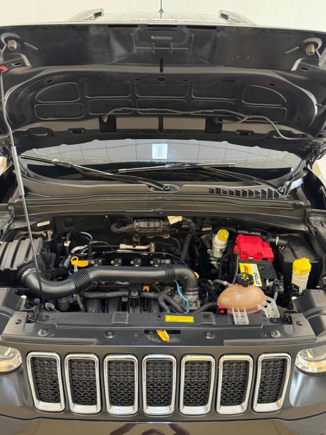 JEEP Renegade 1.8 16V 4P FLEX, Foto 5