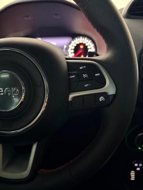 JEEP Renegade 2.0 16V 4P TURBO DIESEL TRAILHAWK 4X4 AUTOM�TICO, Foto 16