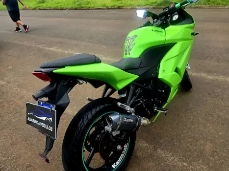 KAWASAKI Ninja 250 R, Foto 8