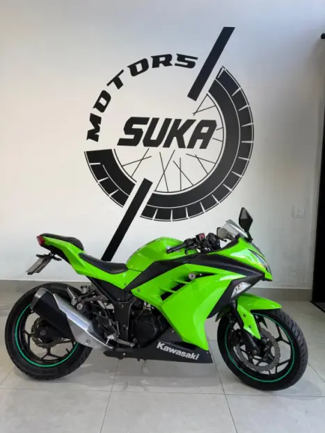 KAWASAKI Ninja 300 , Foto 8