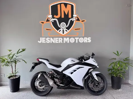 KAWASAKI Ninja 300 , Foto 7
