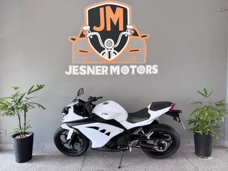 KAWASAKI Ninja 300 , Foto 10