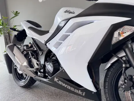 KAWASAKI Ninja 300 , Foto 13