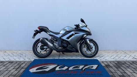KAWASAKI Ninja 300 , Foto 2