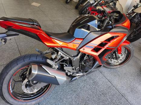 KAWASAKI Ninja 300 ABS, Foto 8