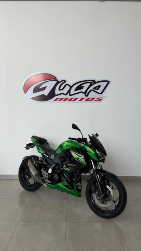 KAWASAKI Z 300 , Foto 3