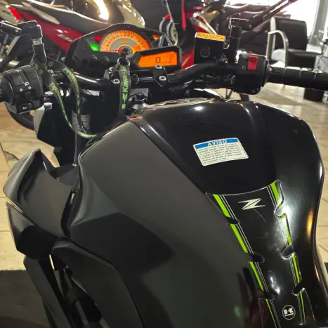 KAWASAKI Z 300 ABS, Foto 15