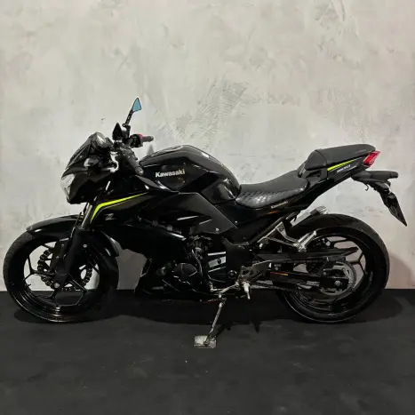 KAWASAKI Z 300 ABS, Foto 9