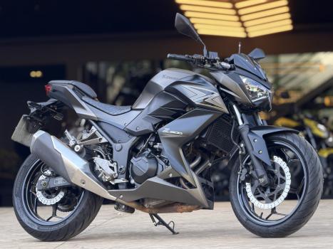 KAWASAKI Z 300 ABS, Foto 1
