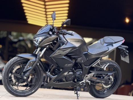 KAWASAKI Z 300 ABS, Foto 2