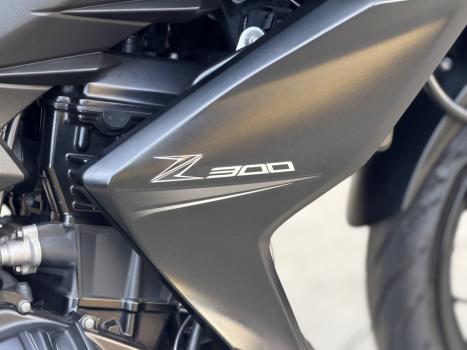 KAWASAKI Z 300 ABS, Foto 13