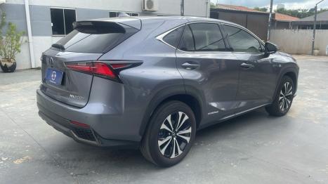 LEXUS NX 300 H 2.5 16V 4P VVT-I HYBRID F-SPORT AWD AUTOM�TICO CVT, Foto 4