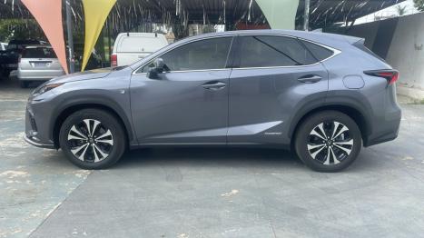 LEXUS NX 300 H 2.5 16V 4P VVT-I HYBRID F-SPORT AWD AUTOM�TICO CVT, Foto 7