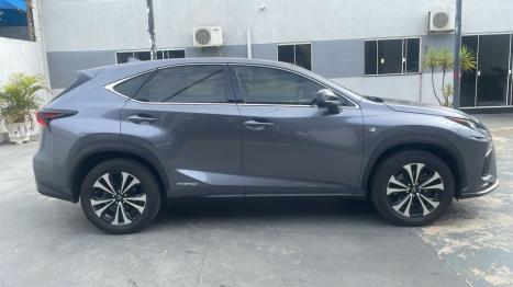 LEXUS NX 300 H 2.5 16V 4P VVT-I HYBRID F-SPORT AWD AUTOM�TICO CVT, Foto 3
