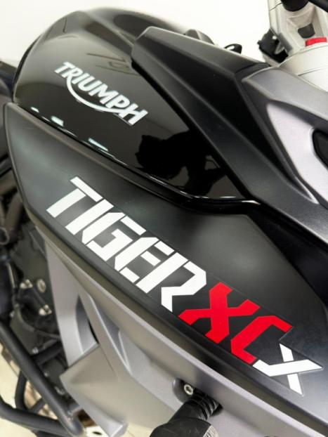 TRIUMPH Tiger 800 XCX, Foto 6