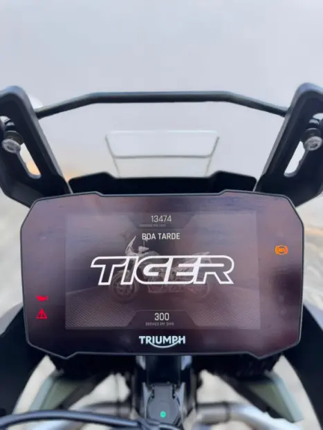 TRIUMPH Tiger 900 RALLY, Foto 5