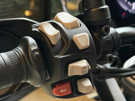 TRIUMPH Tiger 900 RALLY PR�, Foto 8