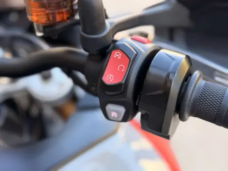 TRIUMPH Tiger 900 RALLY PR�, Foto 15