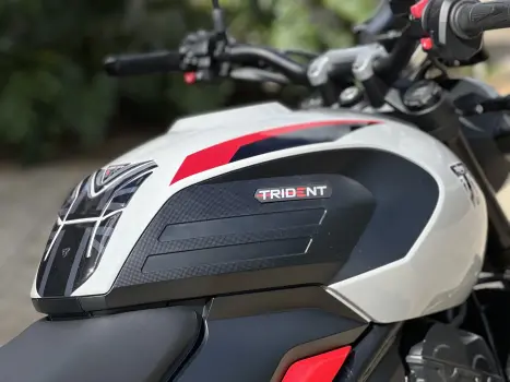 TRIUMPH Trident 660 , Foto 6