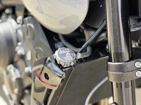 TRIUMPH Trident 660 , Foto 12