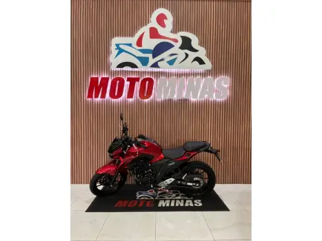 YAMAHA FZ 25 250 Fazer Flex , Foto 1