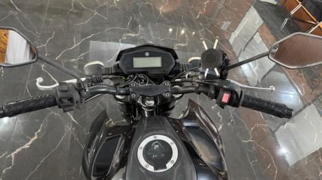 YAMAHA FZ 25 250 Fazer Flex , Foto 4