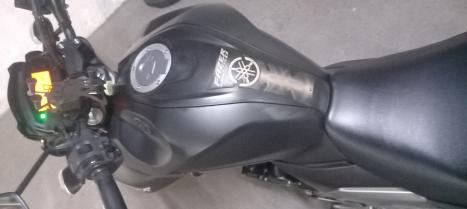 YAMAHA FZ 25 250 Fazer Flex , Foto 3