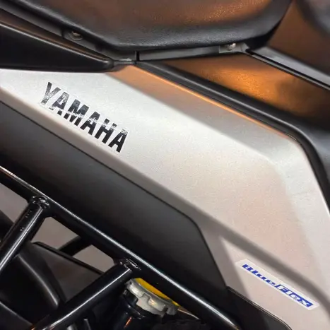 YAMAHA FZ 25 250 Fazer Flex , Foto 5