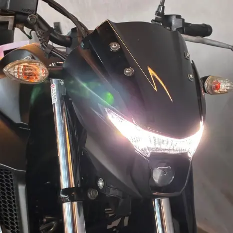 YAMAHA FZ 25 250 Fazer Flex , Foto 9