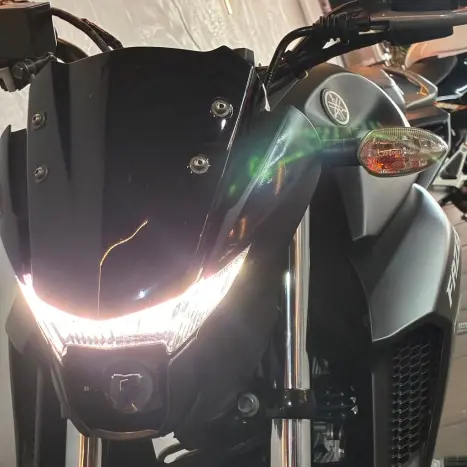 YAMAHA FZ 25 250 Fazer Flex , Foto 19