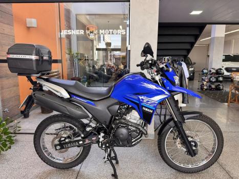 YAMAHA FZ 25 250 Fazer Flex , Foto 3