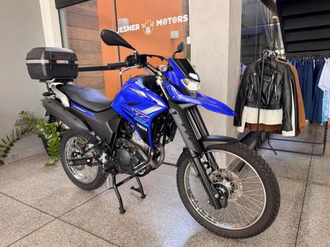 YAMAHA FZ 25 250 Fazer Flex , Foto 4