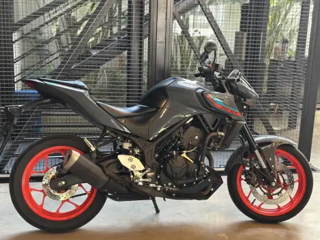 YAMAHA MT-03 300 ABS, Foto 1