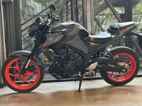 YAMAHA MT-03 300 ABS, Foto 2