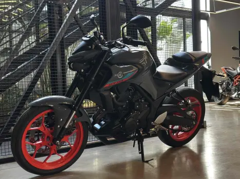 YAMAHA MT-03 300 ABS, Foto 3