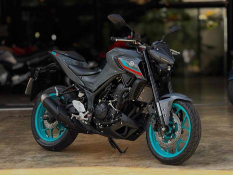 YAMAHA MT-03 300 ABS, Foto 1