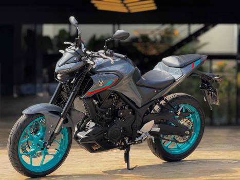 YAMAHA MT-03 300 ABS, Foto 2