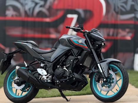 YAMAHA MT-03 300 ABS, Foto 3