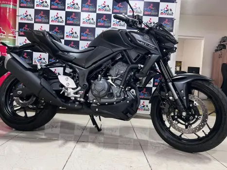 YAMAHA MT-03 300 ABS, Foto 4