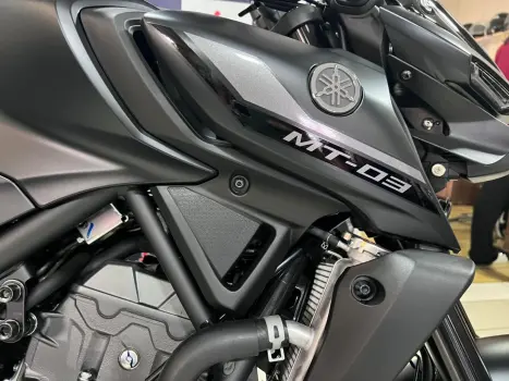 YAMAHA MT-03 300 ABS, Foto 6