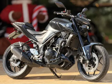 YAMAHA MT-03 300 ABS, Foto 1